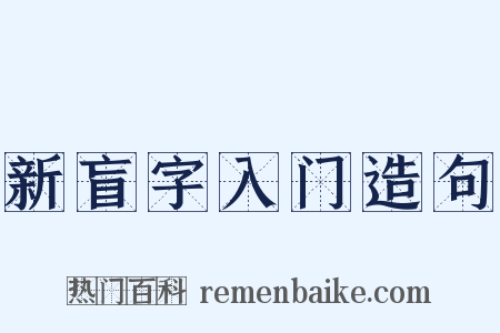 新盲字入门造句是什么意思的图片